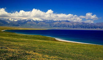 五月與八月的新疆伊犁 自由行中的生態(tài)足跡與環(huán)保思考