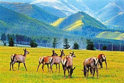 分區(qū)管控 生態(tài)更美 新疆環(huán)保